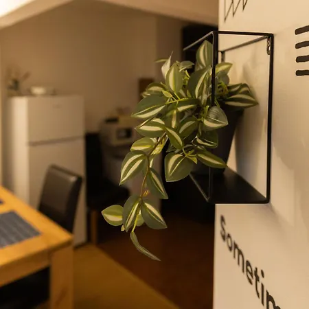 公寓 Lovely 1bd Flat Near The Sea Garden By Flat Mаnаger