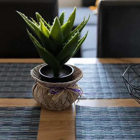 Lovely 1bd Flat Near The Sea Garden By Flat Mаnаger Burgas